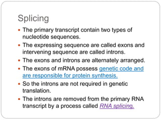 Primary Transcript Genetics Post transcriptional modification of proteins | PPTX