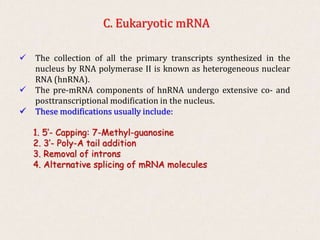 Posttranscriptional_Modification_of_RNA.pptx