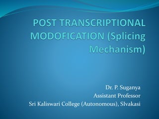 Dr. P. Suganya
Assistant Professor
Sri Kaliswari College (Autonomous), SIvakasi
 