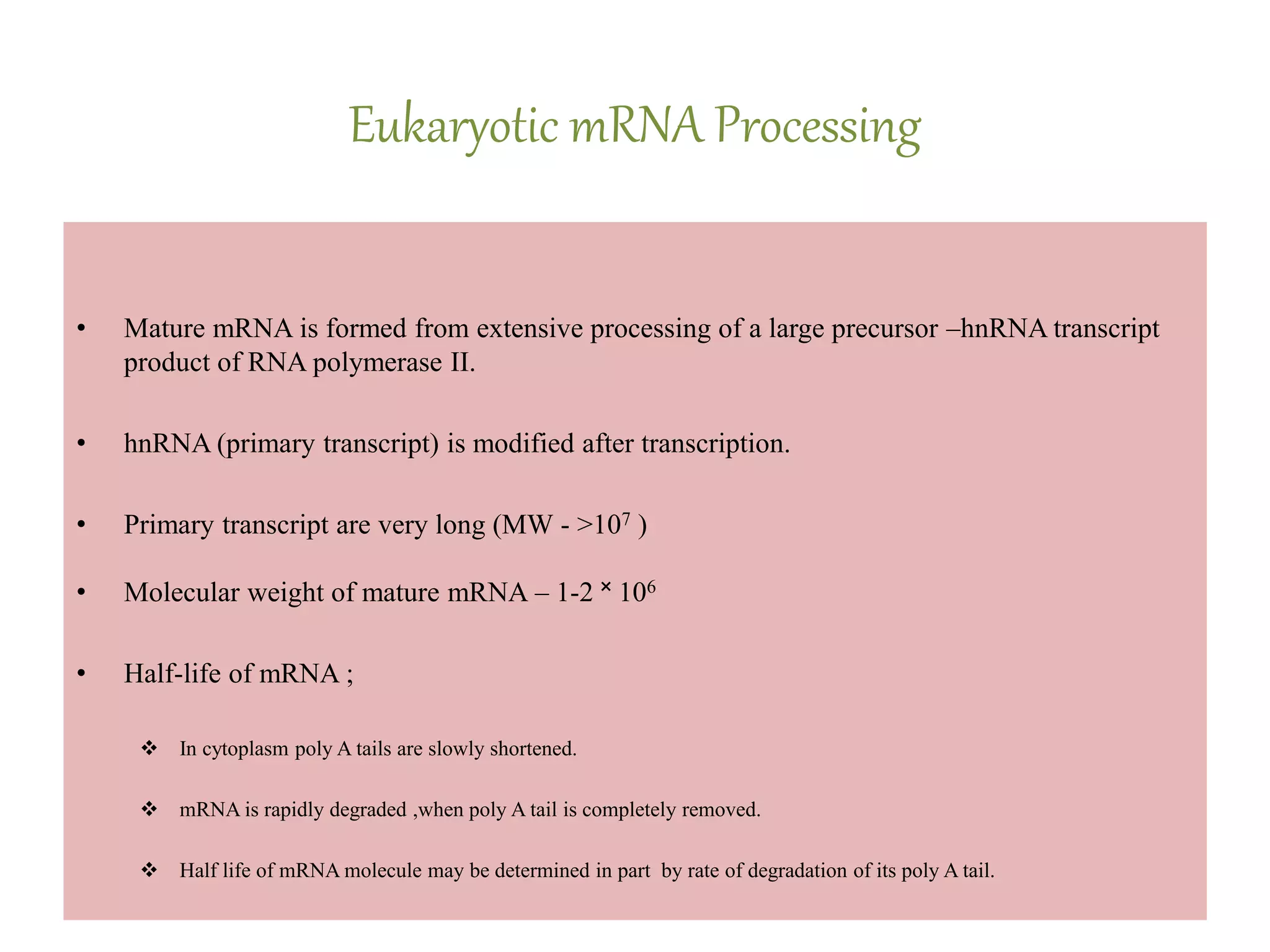 Eukaryotic mRNA Processing
• Mature mRNA is formed from extensive processing of a large precursor –hnRNA transcript
product of RNA polymerase II.
• hnRNA (primary transcript) is modified after transcription.
• Primary transcript are very long (MW - >107 )
• Molecular weight of mature mRNA – 1-2 ˟ 106
• Half-life of mRNA ;
 In cytoplasm poly A tails are slowly shortened.
 mRNA is rapidly degraded ,when poly A tail is completely removed.
 Half life of mRNA molecule may be determined in part by rate of degradation of its poly A tail.
 