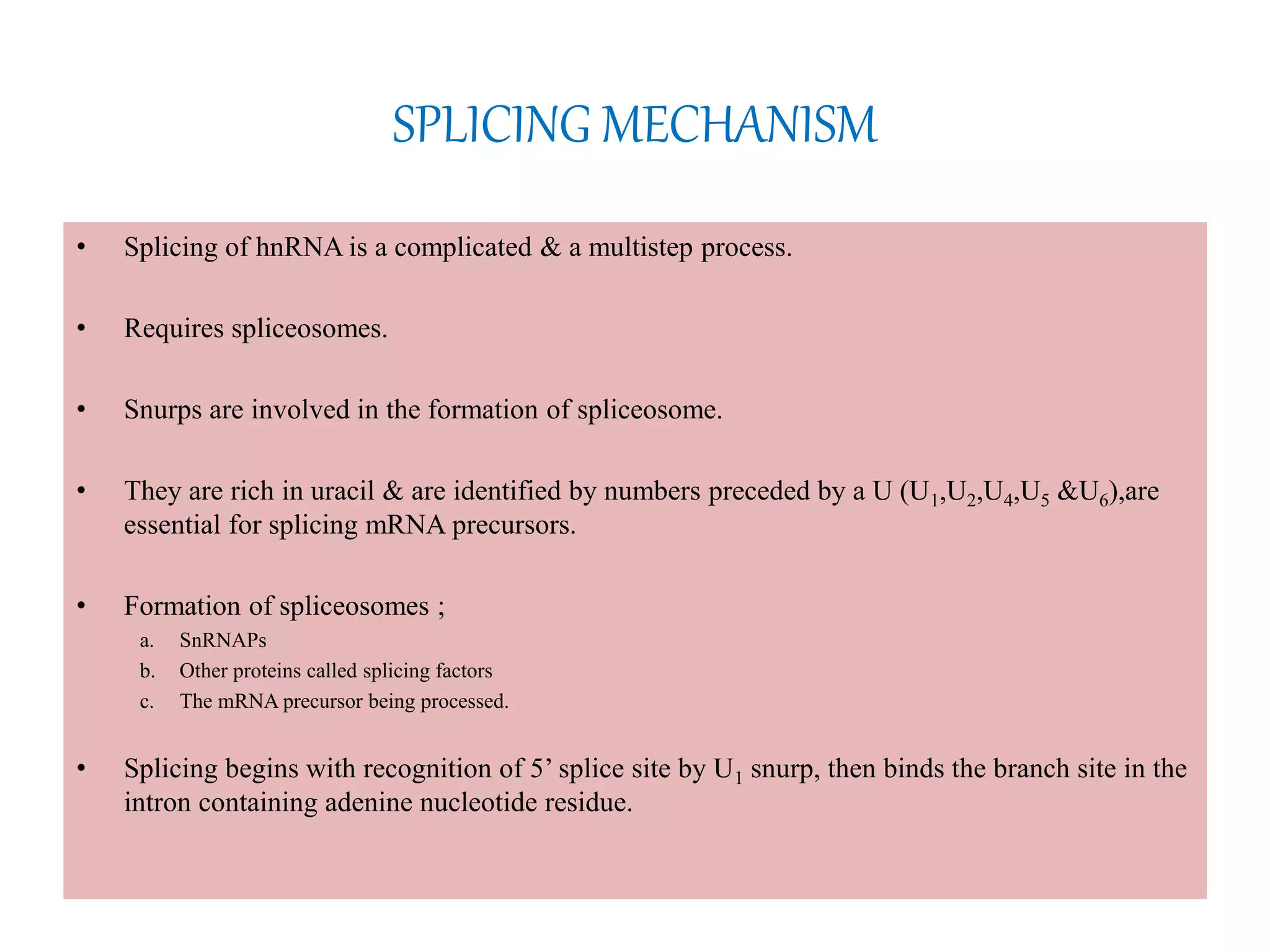 SPLICING MECHANISM
• Splicing of hnRNA is a complicated & a multistep process.
• Requires spliceosomes.
• Snurps are involved in the formation of spliceosome.
• They are rich in uracil & are identified by numbers preceded by a U (U1,U2,U4,U5 &U6),are
essential for splicing mRNA precursors.
• Formation of spliceosomes ;
a. SnRNAPs
b. Other proteins called splicing factors
c. The mRNA precursor being processed.
• Splicing begins with recognition of 5’ splice site by U1 snurp, then binds the branch site in the
intron containing adenine nucleotide residue.
 