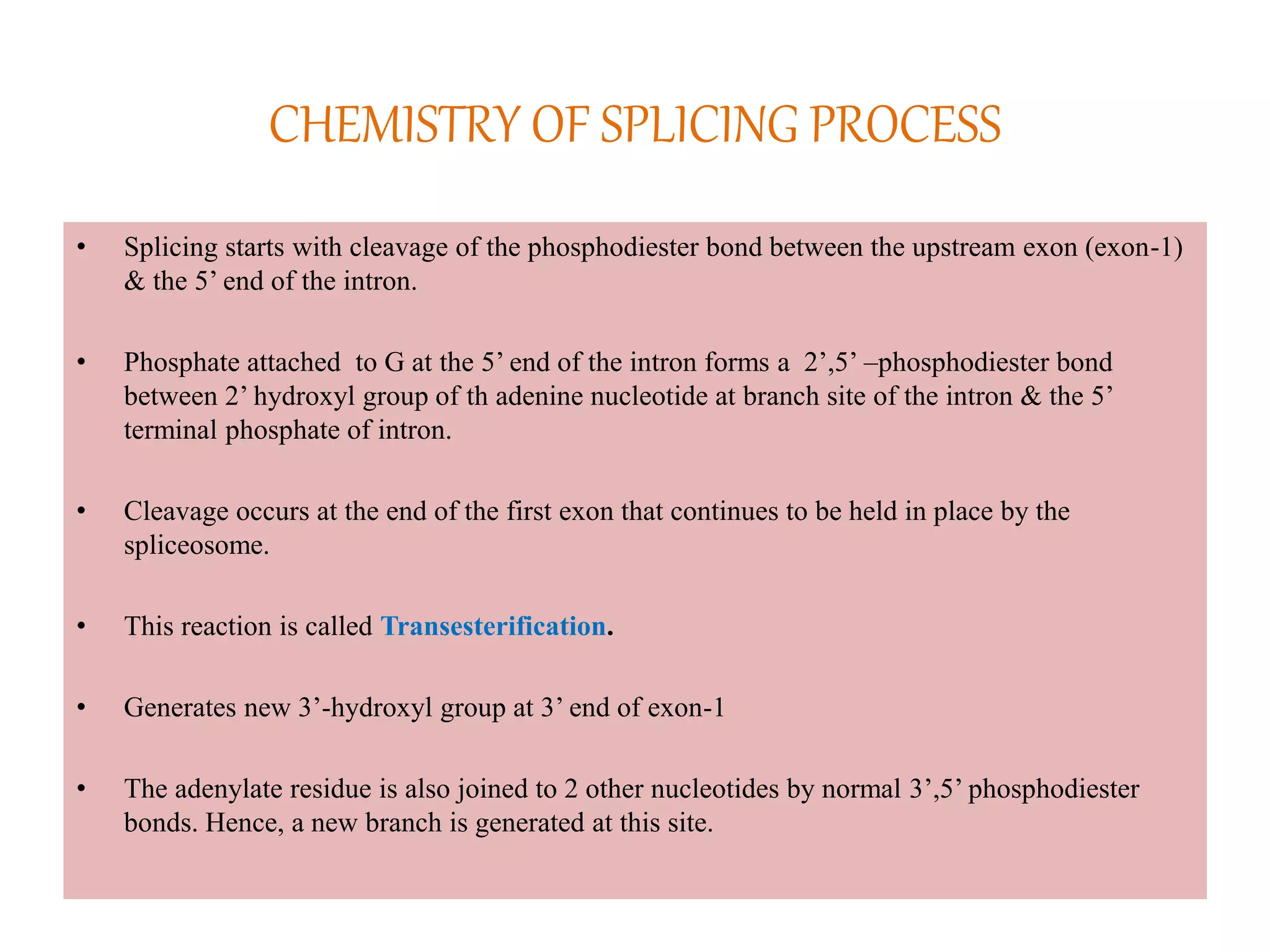 CHEMISTRY OF SPLICING PROCESS
• Splicing starts with cleavage of the phosphodiester bond between the upstream exon (exon-1)
& the 5’ end of the intron.
• Phosphate attached to G at the 5’ end of the intron forms a 2’,5’ –phosphodiester bond
between 2’ hydroxyl group of th adenine nucleotide at branch site of the intron & the 5’
terminal phosphate of intron.
• Cleavage occurs at the end of the first exon that continues to be held in place by the
spliceosome.
• This reaction is called Transesterification.
• Generates new 3’-hydroxyl group at 3’ end of exon-1
• The adenylate residue is also joined to 2 other nucleotides by normal 3’,5’ phosphodiester
bonds. Hence, a new branch is generated at this site.
 
