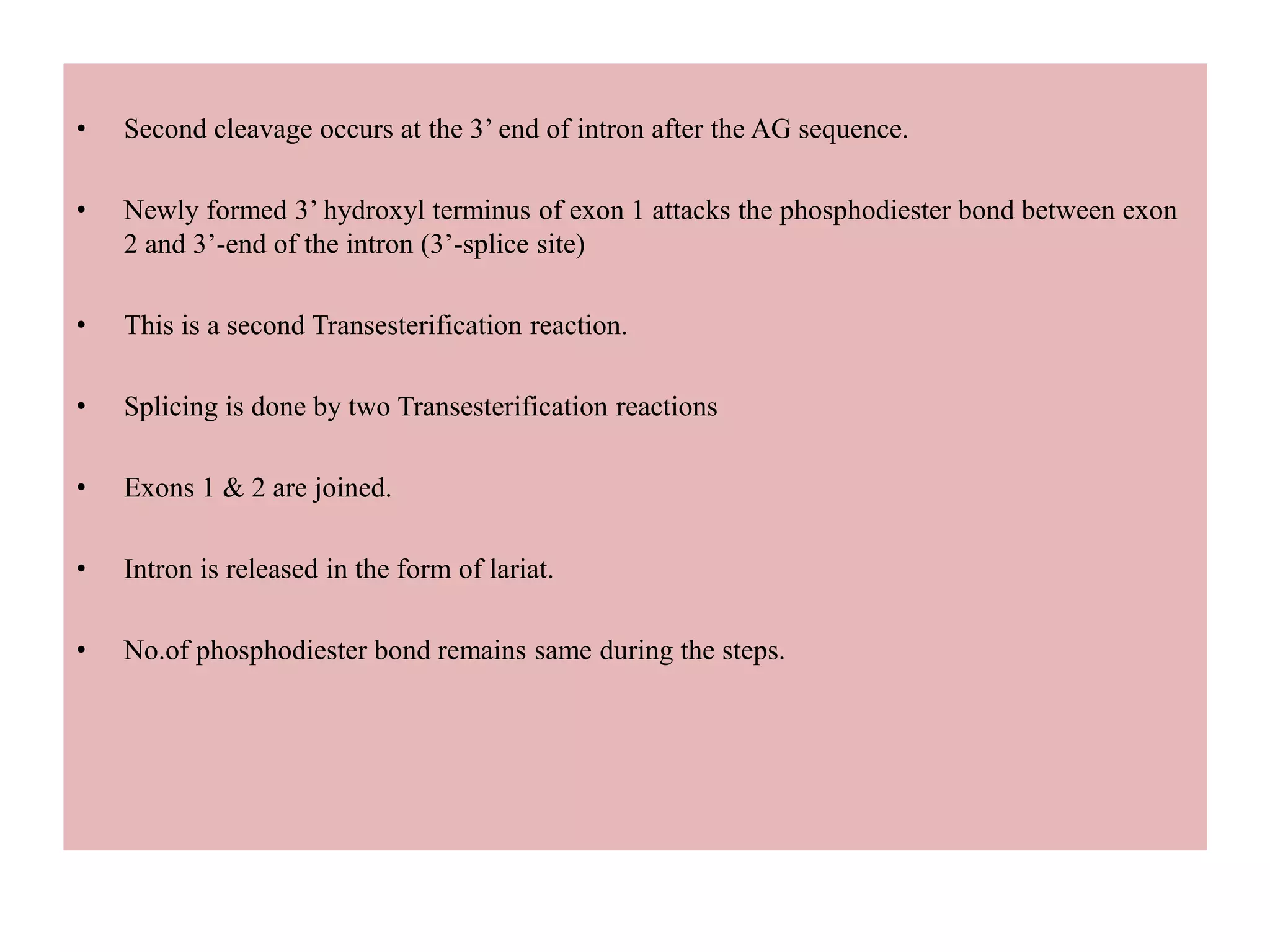 • Second cleavage occurs at the 3’ end of intron after the AG sequence.
• Newly formed 3’ hydroxyl terminus of exon 1 attacks the phosphodiester bond between exon
2 and 3’-end of the intron (3’-splice site)
• This is a second Transesterification reaction.
• Splicing is done by two Transesterification reactions
• Exons 1 & 2 are joined.
• Intron is released in the form of lariat.
• No.of phosphodiester bond remains same during the steps.
 