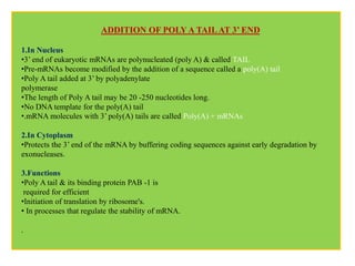 1.In Nucleus
•3’ end of eukaryotic mRNAs are polynucleated (poly A) & called TAIL
•Pre-mRNAs become modified by the addition of a sequence called a poly(A) tail
•Poly A tail added at 3’ by polyadenylate
polymerase
•The length of Poly A tail may be 20 -250 nucleotides long.
•No DNA template for the poly(A) tail
•.mRNA molecules with 3’ poly(A) tails are called Poly(A) + mRNAs
2.In Cytoplasm
•Protects the 3’ end of the mRNA by buffering coding sequences against early degradation by
exonucleases.
3.Functions
•Poly A tail & its binding protein PAB -1 is
required for efficient
•Initiation of translation by ribosome's.
• In processes that regulate the stability of mRNA.
.
ADDITION OF POLY A TAILAT 3’ END
 