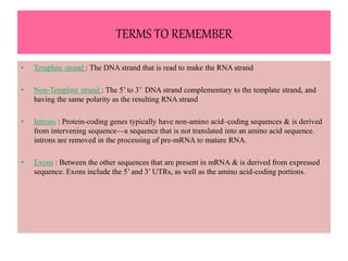TERMS TO REMEMBER
• Template strand : The DNA strand that is read to make the RNA strand
• Non-Template strand : The 5’ to 3’ DNA strand complementary to the template strand, and
having the same polarity as the resulting RNA strand
• Introns : Protein-coding genes typically have non-amino acid–coding sequences & is derived
from intervening sequence—a sequence that is not translated into an amino acid sequence.
introns are removed in the processing of pre-mRNA to mature RNA.
• Exons : Between the other sequences that are present in mRNA & is derived from expressed
sequence. Exons include the 5’ and 3’ UTRs, as well as the amino acid-coding portions.
 