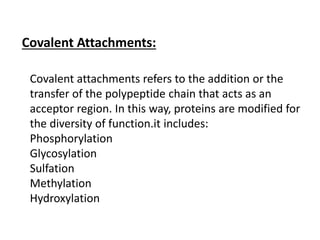 Covalent Attachments:
Covalent attachments refers to the addition or the
transfer of the polypeptide chain that acts as an
acceptor region. In this way, proteins are modified for
the diversity of function.it includes:
Phosphorylation
Glycosylation
Sulfation
Methylation
Hydroxylation
 