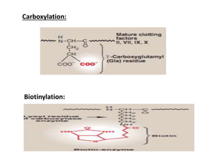 Carboxylation:
Biotinylation:
 