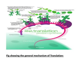 Post translational modification | PPTX