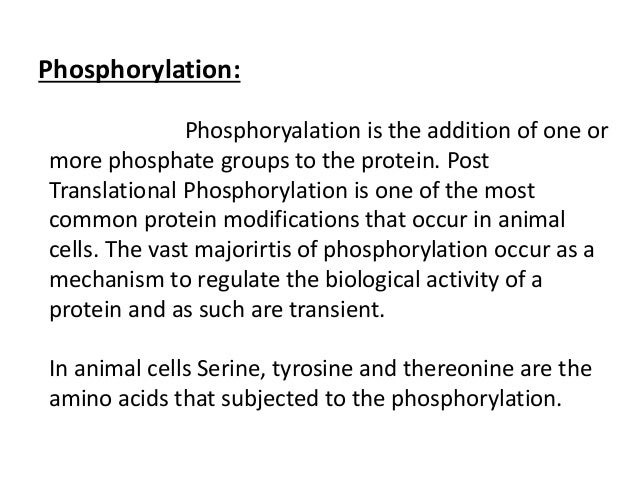 Post Translational Modification