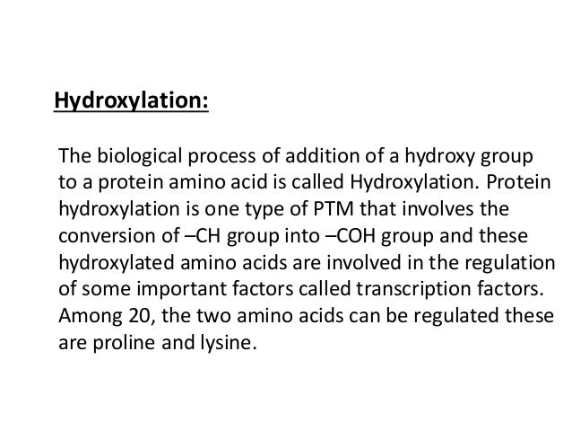Post Translational Modification