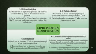 Post translational modification in plants. | PPTX