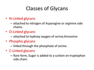 • N-Linked glycans
– attached to nitrogen of Asparagine or arginine side
chains.
• O-Linked glycans
– attached to hydroxy oxygen of serine,threonine
• Phospho glycans
– linked through the phosphate of serine.
• C-Linked glycans
– Rare form, Sugar is added to a carbon on tryptophan
side chain.
Classes of Glycans
 