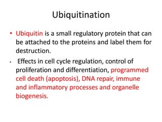 • Ubiquitin is a small regulatory protein that can
be attached to the proteins and label them for
destruction.
• Effects in cell cycle regulation, control of
proliferation and differentiation, programmed
cell death (apoptosis), DNA repair, immune
and inflammatory processes and organelle
biogenesis.
Ubiquitination
 