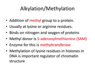 • Addition of methyl group to a protein.
• Usually at lysine or arginine residues.
• Binds on nitrogen and oxygen of proteins
• Methyl donor is S-adenosylmethionine (SAM)
• Enzyme for this is methyltransferase
• Methylation of lysine residues in histones in
DNA is important regulator of chromatin
structure
Alkylation/Methylation
 