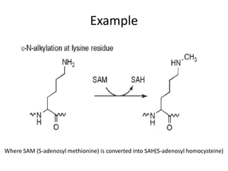 Example
Where SAM (S-adenosyl methionine) is converted into SAH(S-adenosyl homocysteine)
 