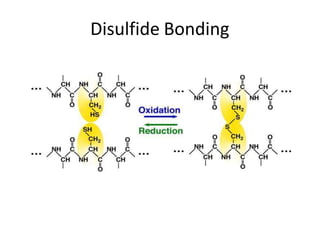 Disulfide Bonding
 