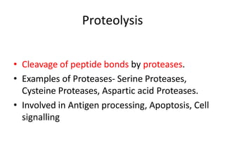 • Cleavage of peptide bonds by proteases.
• Examples of Proteases- Serine Proteases,
Cysteine Proteases, Aspartic acid Proteases.
• Involved in Antigen processing, Apoptosis, Cell
signalling
Proteolysis
 