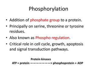 Phosphorylation
• Addition of phosphate group to a protein.
• Principally on serine, threonine or tyrosine
residues.
• Also known as Phospho regulation.
• Critical role in cell cycle, growth, apoptosis
and signal transduction pathways.
Protein kinases
ATP + protein ———————> phosphoprotein + ADP
 