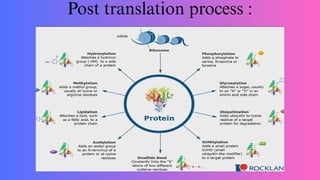 Post Translation Modification_ molecular Biology | PDF