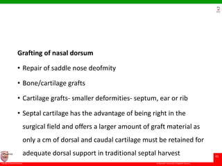 © Ramaiah University of Applied Sciences
41
Faculty of Dental Sciences
University
Logo
Grafting of nasal dorsum
• Repair of saddle nose deofmity
• Bone/cartilage grafts
• Cartilage grafts- smaller deformities- septum, ear or rib
• Septal cartilage has the advantage of being right in the
surgical field and offers a larger amount of graft material as
only a cm of dorsal and caudal cartilage must be retained for
adequate dorsal support in traditional septal harvest
 