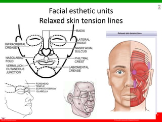 © Ramaiah University of Applied Sciences
7
Faculty of Dental Sciences
University
Logo
Facial esthetic units
Relaxed skin tension lines
 