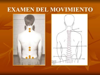 EXAMEN DEL MOVIMIENTO
 