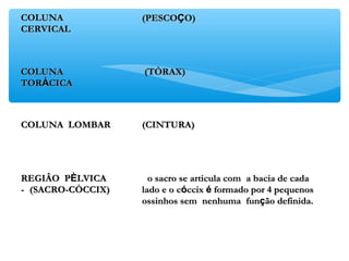 COLUNACOLUNA
CERVICALCERVICAL
(PESCO(PESCOÇÇO)O)
COLUNACOLUNA
TORTORÁÁCICACICA
(TÒRAX)(TÒRAX)
COLUNA LOMBARCOLUNA LOMBAR (CINTURA)(CINTURA)
REGIÂO PREGIÂO PÈÈLVICALVICA
-- (SACRO-CÒCCIX)(SACRO-CÒCCIX)
o sacro se articula como sacro se articula com a bacia de cadaa bacia de cada
lado e o clado e o cóóccixccix éé formado por 4 pequenosformado por 4 pequenos
ossinhos semossinhos sem nenhumanenhuma funfunçção definida.ão definida.
 