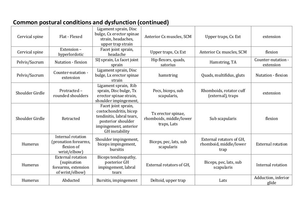 postural-assessment-and-correction-workshop