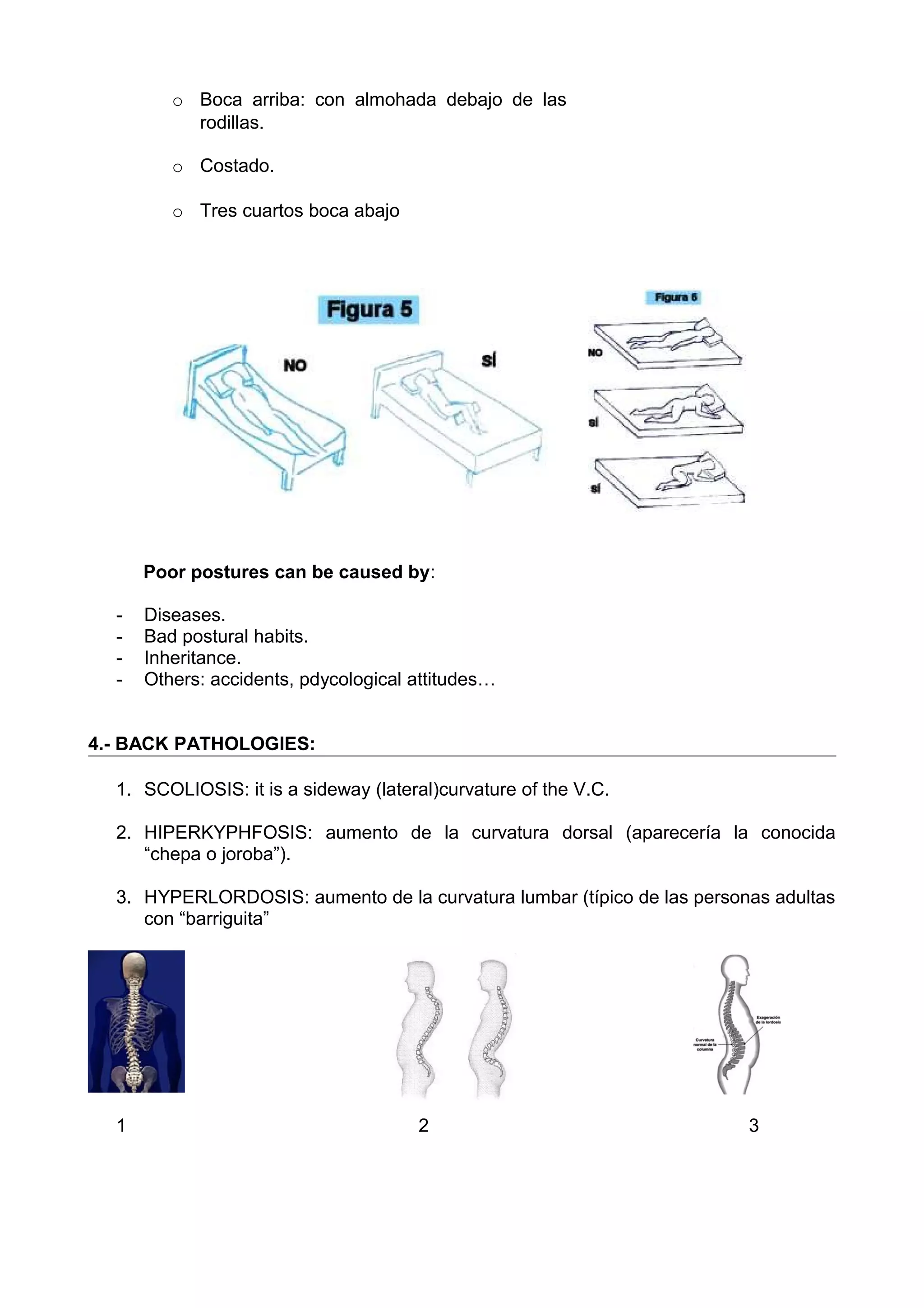 Postural Education And Back Care Doc