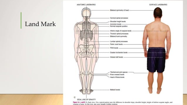 Postural Analysis .ppt