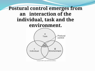 Postural control emerges from
an interaction of the
individual, task and the
environment.
 