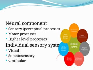 Neural component
 Sensory /perceptual processes
 Motor processes
 Higher level processes
Individual sensory system
 Visual
 Somatosensory
 vestibular
 