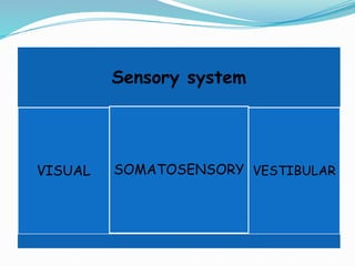 Sensory system
VISUAL SOMATOSENSORY VESTIBULAR
 