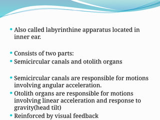  Also called labyrinthine apparatus located in
inner ear.
 Consists of two parts:
 Semicircular canals and otolith organs
 Semicircular canals are responsible for motions
involving angular acceleration.
 Otolith organs are responsible for motions
involving linear acceleration and response to
gravity(head tilt)
 Reinforced by visual feedback
 