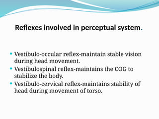 Reflexes involved in perceptual system.
 Vestibulo-occular reflex-maintain stable vision
during head movement.
 Vestibulospinal reflex-maintains the COG to
stabilize the body.
 Vestibulo-cervical reflex-maintains stability of
head during movement of torso.
 