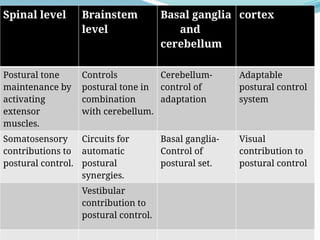 Spinal level Brainstem
level
Basal ganglia
and
cerebellum
cortex
Postural tone
maintenance by
activating
extensor
muscles.
Controls
postural tone in
combination
with cerebellum.
Cerebellum-
control of
adaptation
Adaptable
postural control
system
Somatosensory
contributions to
postural control.
Circuits for
automatic
postural
synergies.
Basal ganglia-
Control of
postural set.
Visual
contribution to
postural control
Vestibular
contribution to
postural control.
 