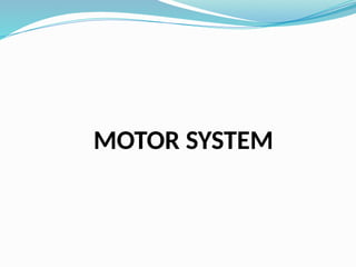 MOTOR SYSTEM
 