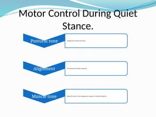 Motor Control During Quiet
Stance.
Postural tone •antigravity muscles activation
Alignment •To minimize the effect of gravity
Muscle tone •Keeps the body from collapsing in response to the pull of gravity
 