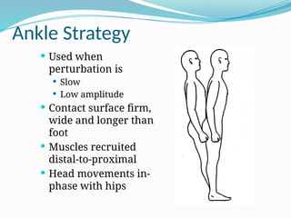 Ankle Strategy
 Used when
perturbation is
 Slow
 Low amplitude
 Contact surface firm,
wide and longer than
foot
 Muscles recruited
distal-to-proximal
 Head movements in-
phase with hips
 