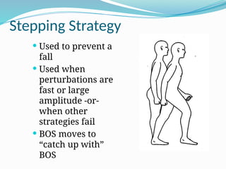 Stepping Strategy
 Used to prevent a
fall
 Used when
perturbations are
fast or large
amplitude -or-
when other
strategies fail
 BOS moves to
“catch up with”
BOS
 