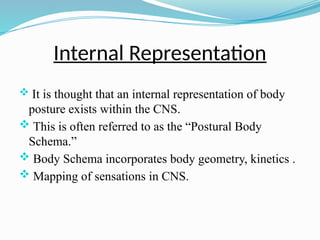 Internal Representation
 It is thought that an internal representation of body
posture exists within the CNS.
 This is often referred to as the “Postural Body
Schema.”
 Body Schema incorporates body geometry, kinetics .
 Mapping of sensations in CNS.
 