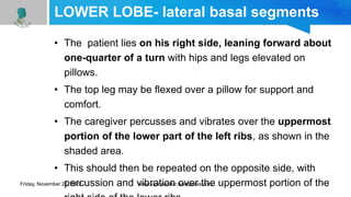 LOWER LOBE- lateral basal segments
• The patient lies on his right side, leaning forward about
one-quarter of a turn with hips and legs elevated on
pillows.
• The top leg may be flexed over a pillow for support and
comfort.
• The caregiver percusses and vibrates over the uppermost
portion of the lower part of the left ribs, as shown in the
shaded area.
• This should then be repeated on the opposite side, with
percussion and vibration over the uppermost portion of the
Friday, November 25, 2022 www.vipinpatidar.wordpress.com
 