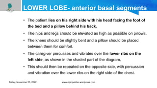 LOWER LOBE- anterior basal segments
• The patient lies on his right side with his head facing the foot of
the bed and a pillow behind his back.
• The hips and legs should be elevated as high as possible on pillows.
• The knees should be slightly bent and a pillow should be placed
between them for comfort.
• The caregiver percusses and vibrates over the lower ribs on the
left side, as shown in the shaded part of the diagram.
• This should then be repeated on the opposite side, with percussion
and vibration over the lower ribs on the right side of the chest.
Friday, November 25, 2022 www.vipinpatidar.wordpress.com
 