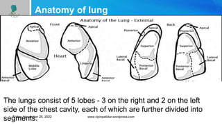 Anatomy of lung
The lungs consist of 5 lobes - 3 on the right and 2 on the left
side of the chest cavity, each of which are further divided into
segments.
Friday, November 25, 2022 www.vipinpatidar.wordpress.com
 