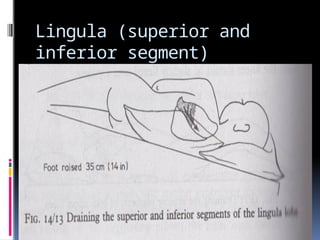 Segment Inferior Chest physiotherapy - postural drainage.. | PPTX