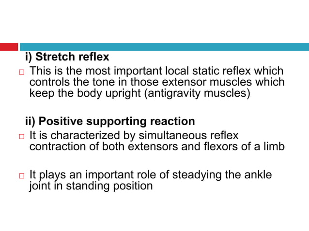 Postural Reflexes Copy Pptx
