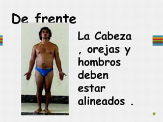 De frente
La Cabeza
, orejas y
hombros
deben
estar
alineados .
 