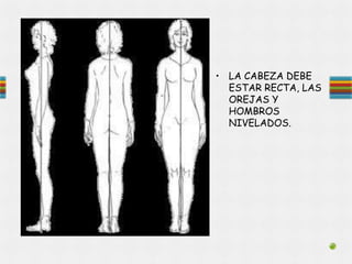 • LA CABEZA DEBE
ESTAR RECTA, LAS
OREJAS Y
HOMBROS
NIVELADOS.
 