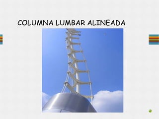 COLUMNA LUMBAR ALINEADA
 