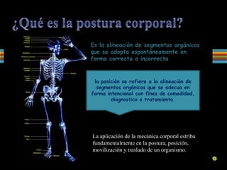 La aplicación de la mecánica corporal estriba
fundamentalmente en la postura, posición,
movilización y traslado de un organismo.
Es la alineación de segmentos orgánicos
que se adopta espontáneamente en
forma correcta o incorrecta
la posición se refiere a la alineación de
segmentos orgánicos que se adecua en
forma intencional con fines de comodidad,
diagnostico o tratamiento.
 